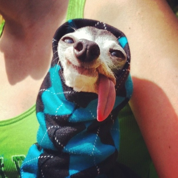 sid1