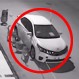 “Banda” de perros organizados destruye un auto y video se convierte en viral en internet