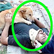 Fotos: Estos perros y su muestra de amor incondicional te van a emocionar profundamente