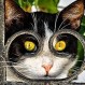Fotos de gatos tomadas en el momento justo: Estás son las más divertidas y notables de internet