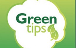 Green Tips: Una aplicación para amantes del medio ambiente