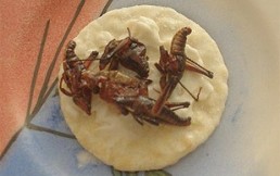 10 comidas mexicanas solo para valientes, ¿quién se atreve? (I)
