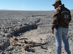 6_01_2105_EL_MERCURIO_DE_CALAMA_768