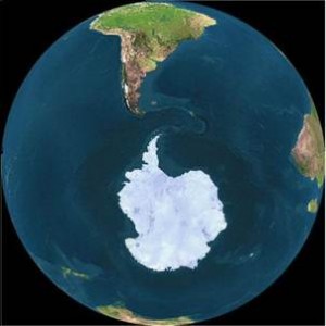 AntarticaFauna_image002