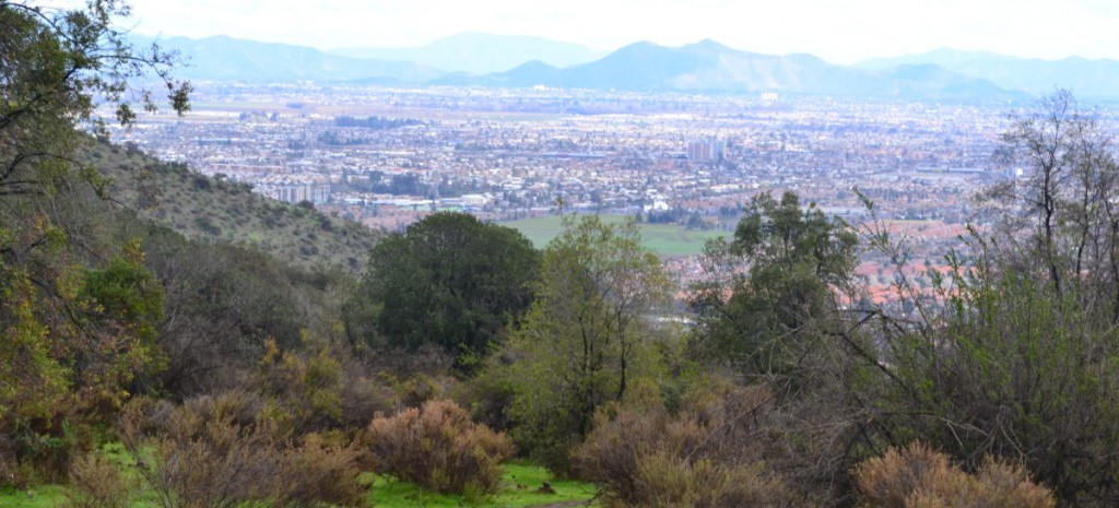 Vista de la ciudad de Santiago desde el bosque de Panul.