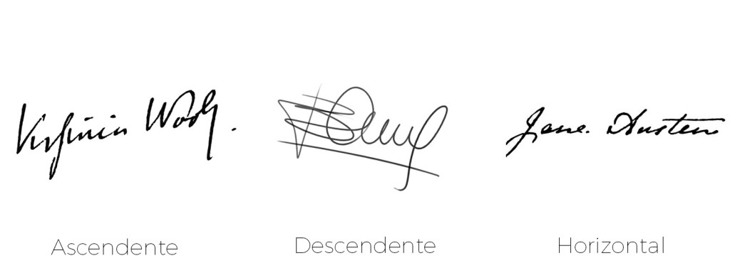 firma orientación