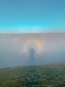 Una ampliación de la imagen tomada por el fotógrafo británico Lee Howdle.