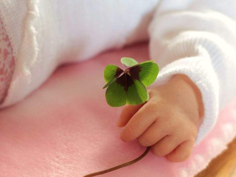 four-leaf-clover