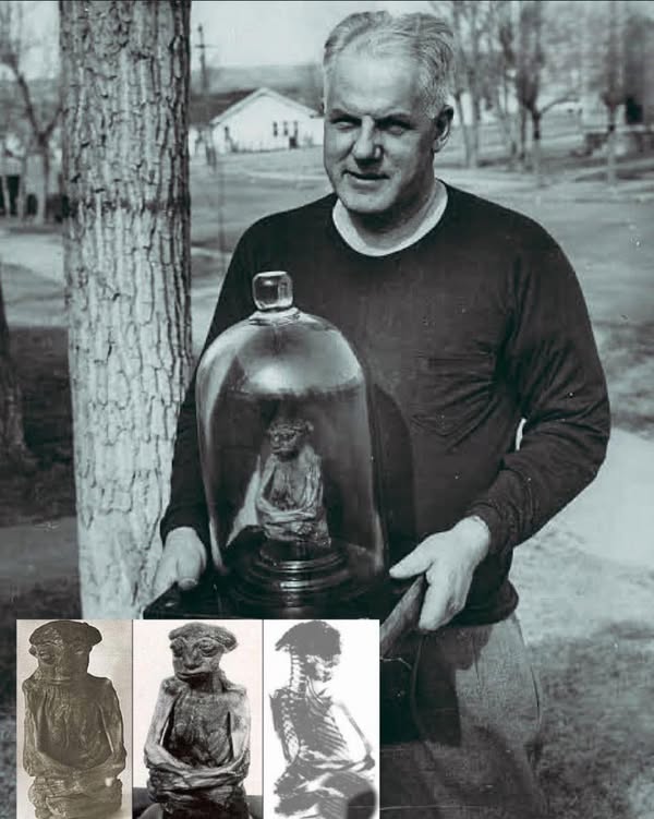 492927450_559500650541042_5096044528207942517_n