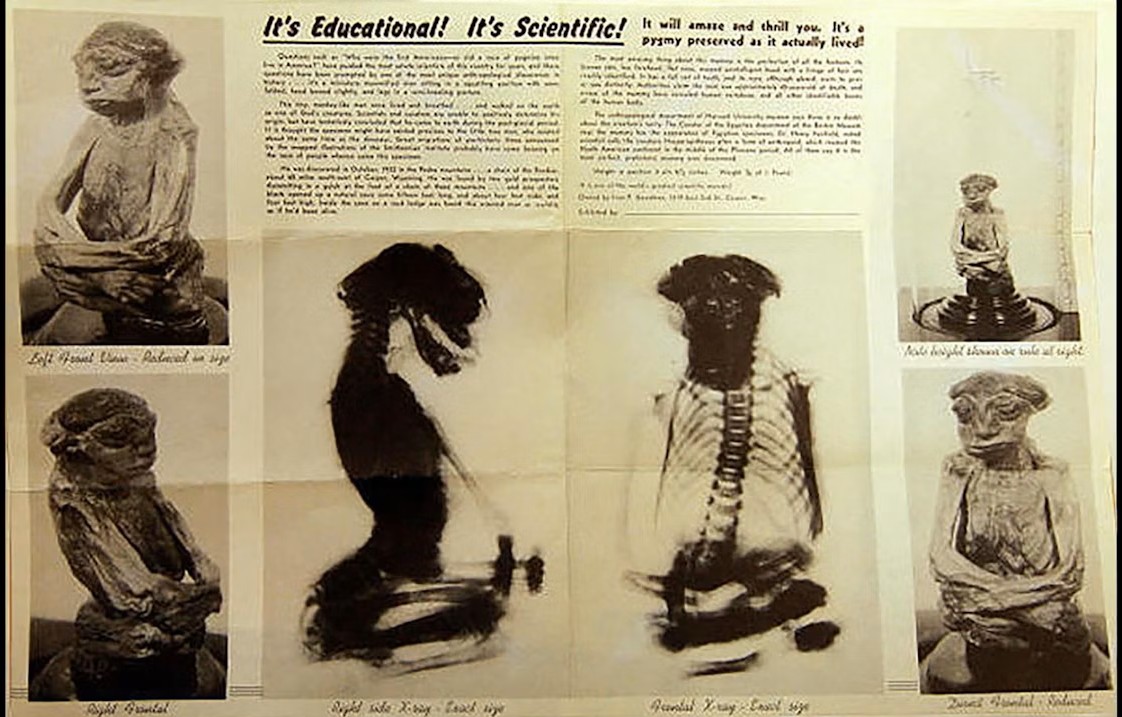 Little-mummy-Pedro-mummy-poster-used-by-Goodman.-Public-domain-6.17.23