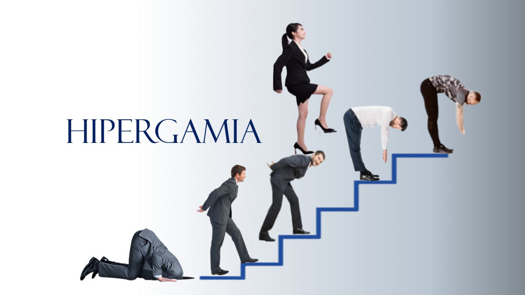 528603439_1057026749979490_103461160930927708_n