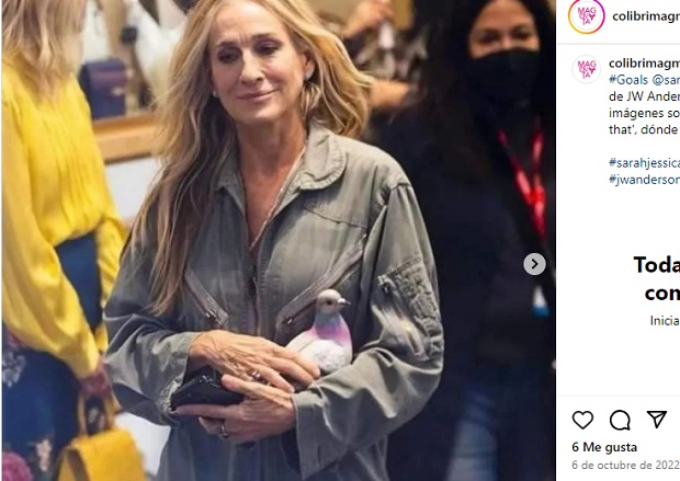 Con “And just like that”, la secuela de “Sex and the City”, el emblemático personaje de “Carrie Bradshaw” aparece con un bolso de mano de paloma, paseándose por las calles de Nueva York. Esta creación es de JW Anderson y está hecha en resina y con un cierre superior plegable.