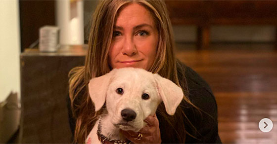 aniston-rojo-1