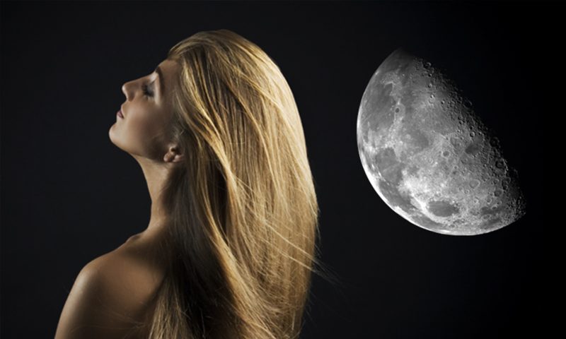 pelo luna