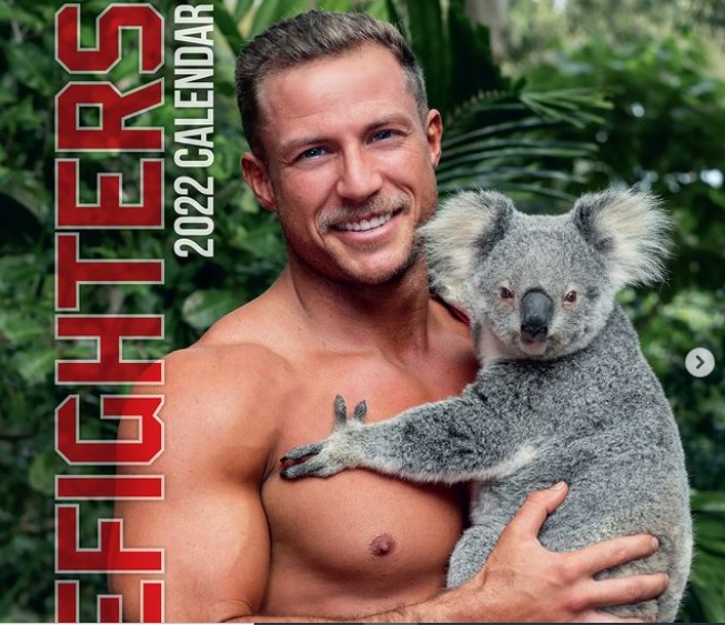 koala