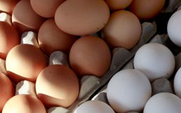 ¿Cómo reconocer huevos frescos?