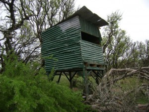 Foto: Sitio donde el cazador asegura que tuvo el enfrentamiento con aliens. /lanueva.com