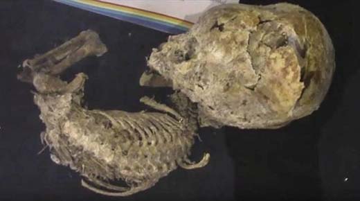 Foto: Feto hallado en Bolivia ¿Humano o alien? ./ mauisaac.blogspot.cl/