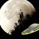 ¿OVNI saliendo de un cráter de la Luna?: Controversia por video que se ha vuelto viral
