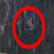 Turista graba un supuesto OVNI en Machu Picchu: Video da la vuelta al mundo