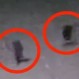 Cámara de seguridad capta extrañas y pequeñas criaturas bípedas: ¿Aliens, duendes o animales?