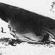 Informe del Pentágono revelaría que EE.UU. ha estudiado tecnología encontrada en un OVNI estrellado en Roswell