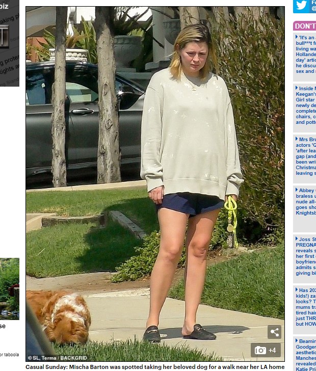 La actriz conocida por "The O.C." sacó a pasea a su amado perro / Captura www.dailymail.co.uk