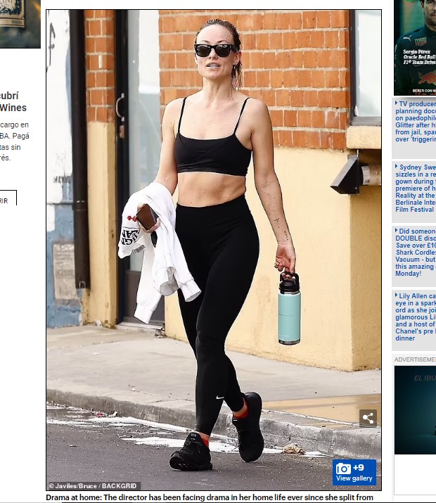 Al parecer, la protagonista de series como "The O.C." y "Dr. House" fue vista en el mismo sitio el día anterior / Captura www.dailymail.co.uk