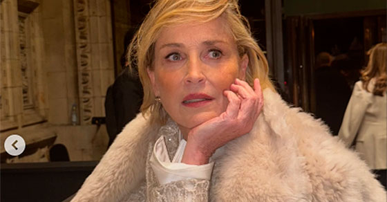 sharon-stone-evento-1