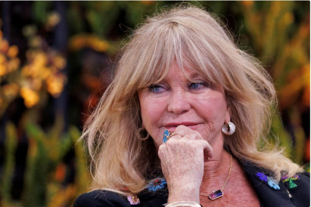 Goldie Hawn traje de baño