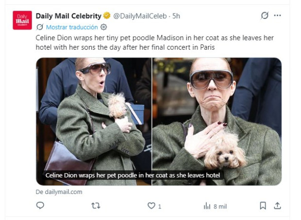 Céline Dion paparazzis
