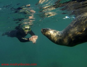 Foto gentileza Madryn Buceo