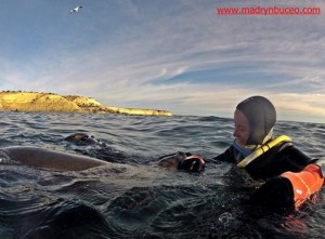 Foto gentileza Madryn Buceo