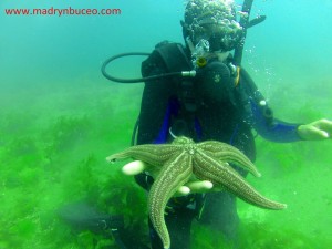 Foto gentileza Madryn Buceo