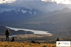 caballos patagónicos