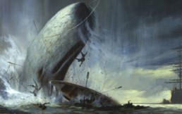 Mocha Dick: la verdadera ballena blanca que habitó al sur de Chile
