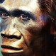 Hombres simios en la Patagonia: Un misterio develado