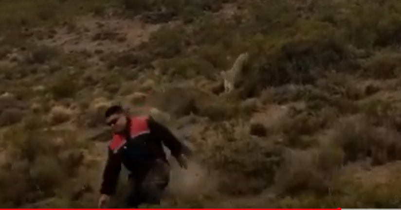 Captura de pantalla de 2019-12-18 14-54-06