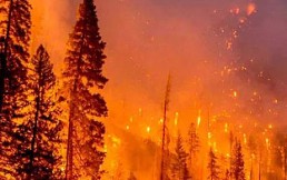 Patagonia: ¿Estamos preparados para los incendios del verano?