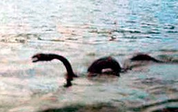 Avistan extraño ser en el lago Nahuel Huapi de Bariloche: Mira las imágenes