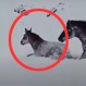 Crianceros protagonizan arriesgado rescate de caballos aislados en zona alta de la cordillera