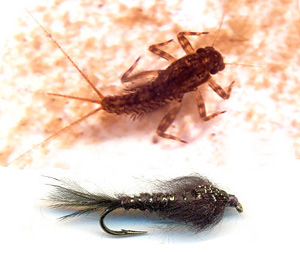 Pesca con Mosca Pesca con Mosca