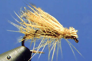 Pesca con Mosca Pesca con Mosca