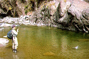 Pesca en ríos Pesca en ríos