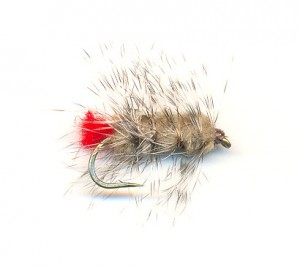 Conociendo y Pescando con la Mosca Woolly Worm Conociendo y Pescando con la Mosca Woolly Worm