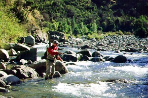 Pescando con mosca en los bolsillos o pockets de un río Pescando con mosca en los bolsillos o pockets de un río