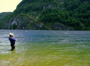 Peleando una trucha con una caña elegida de acuerdo a las necesidades de la pesca Peleando una trucha con una caña elegida de acuerdo a las necesidades de la pesca