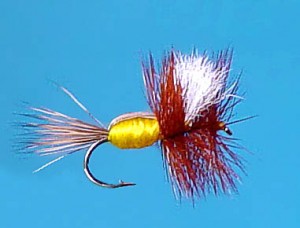 La Humpy, una mosca seca de atracción La Humpy, una mosca seca de atracción