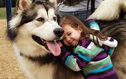 El lobo, el perro y el hombre: Los sorprendentes rasgos que los hacen muy parecidos