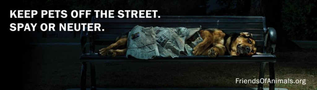 dog billboard